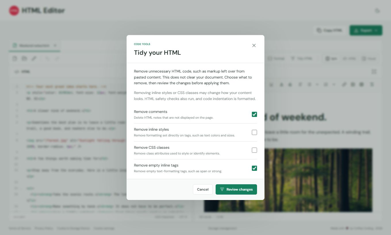 The Tidy your HTML dialog with options for comments, inline styles, CSS classes and empty inline tags